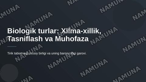Bialogik turlar — zamonaviy taqdimot