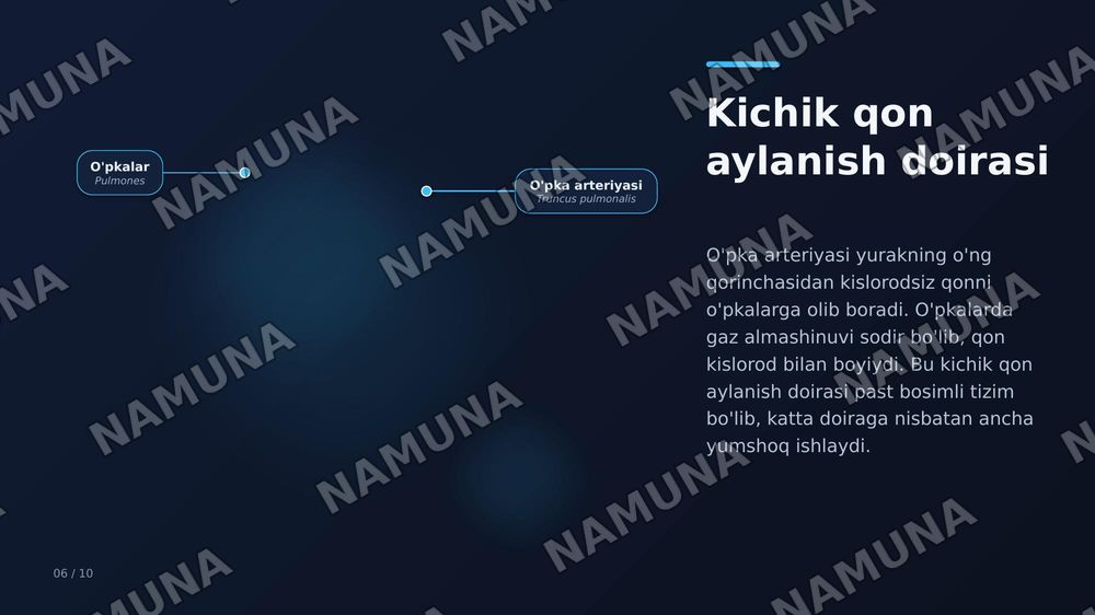 Yurak faoliyatini fizik asoslari .Suniy qon aylabish tizimi — zamonaviy taqdimot, 8-slayd