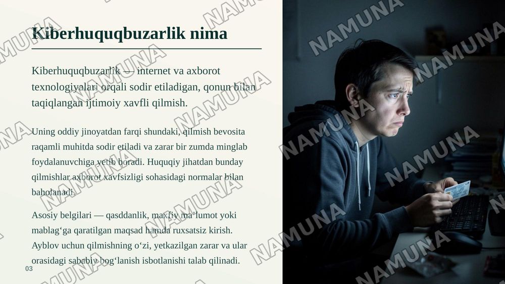 Internet tarmog‘ida amalga oshiriladigan huquqbuzarliklar va ularga qarshi kurashish — zamonaviy taqdimot, 4-slayd