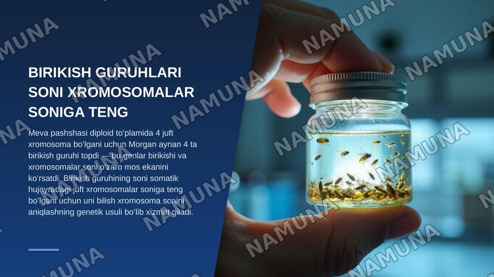 T.G.MORGANNING IRSIYATNING XROMOSOMA NAZARIYASI. GENLARNING BIRIKISH HODISASI, KROSSINGOVER. BELGILARNING JINSGA BIRIKKAN HOLDA IRSIYLANISHI. — zamonaviy taqdimot, 5-slayd