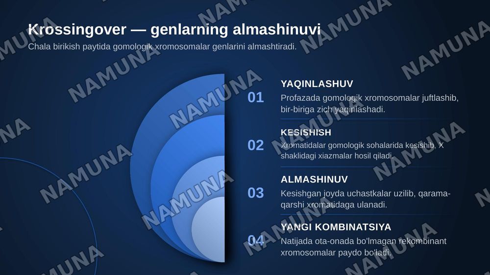 T.G.MORGANNING IRSIYATNING XROMOSOMA NAZARIYASI. GENLARNING BIRIKISH HODISASI, KROSSINGOVER. BELGILARNING JINSGA BIRIKKAN HOLDA IRSIYLANISHI. — zamonaviy taqdimot, 7-slayd
