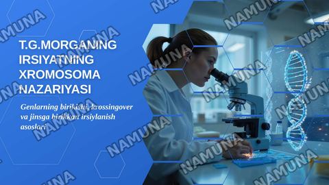T.G.MORGANNING IRSIYATNING XROMOSOMA NAZARIYASI. GENLARNING BIRIKISH HODISASI, KROSSINGOVER. BELGILARNING JINSGA BIRIKKAN HOLDA IRSIYLANISHI. — zamonaviy taqdimot