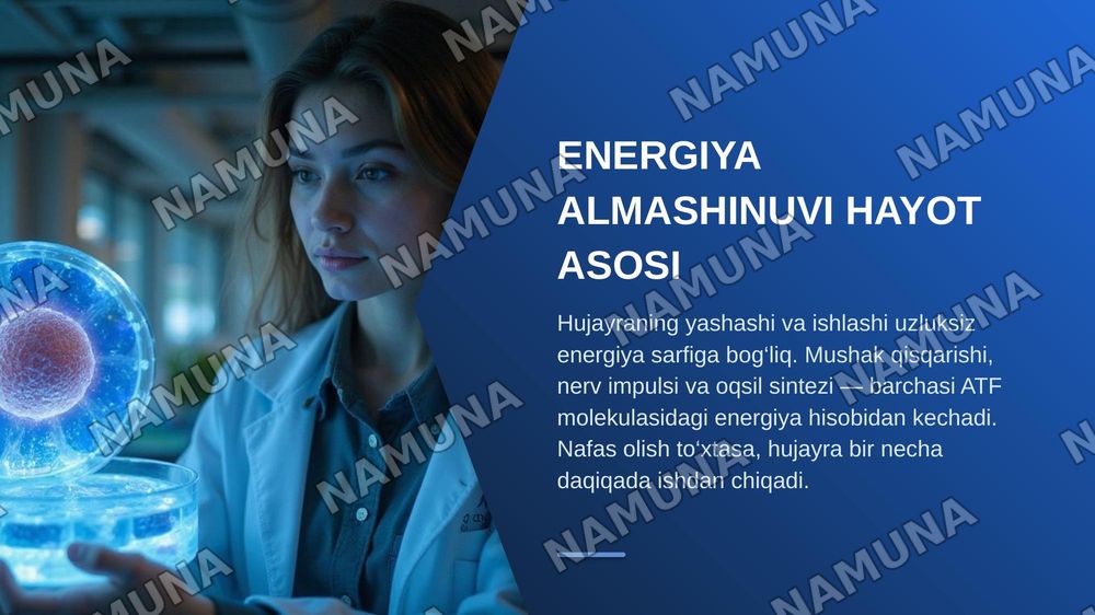 Organizmda asosiy energiya almashinuvi tenglamasi va uni tashkil etuvchilar — zamonaviy taqdimot, 3-slayd