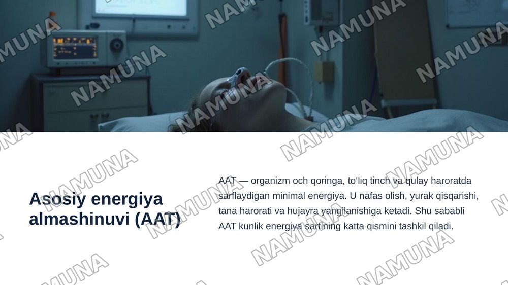 Organizmda asosiy energiya almashinuvi tenglamasi va uni tashkil etuvchilar — zamonaviy taqdimot, 5-slayd
