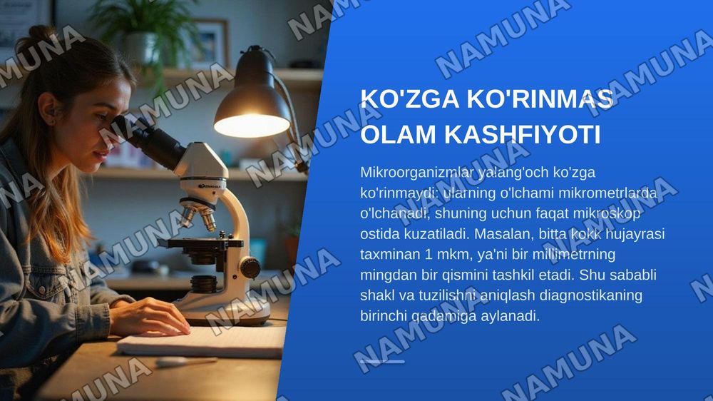 Mikroorganizmlar morfologiyasi.Surtma tayyorlash texnikasi, oddiy usulda bo‘yash.Mikroorganizmlar strukturasi. — zamonaviy taqdimot, 3-slayd
