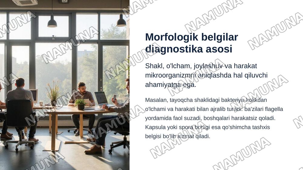 Mikroorganizmlar morfologiyasi.Surtma tayyorlash texnikasi, oddiy usulda bo‘yash.Mikroorganizmlar strukturasi. — zamonaviy taqdimot, 5-slayd