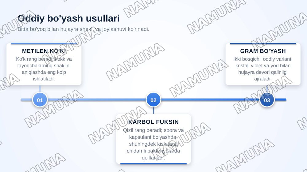 Mikroorganizmlar morfologiyasi.Surtma tayyorlash texnikasi, oddiy usulda bo‘yash.Mikroorganizmlar strukturasi. — zamonaviy taqdimot, 8-slayd