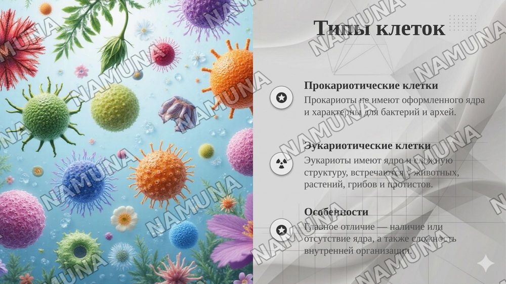 Клетка — taqdimot, 6-slayd