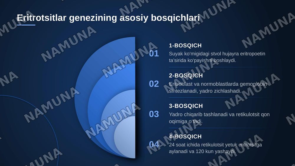 Qon patofiziologiyasi. Qon reologik xususiyatlarining o‘zgarishi. Eritrotsitlar, genez va patologik shakldagi eritrotsitlar. Turli xil anemiyalarda periferik qon manzarasini o‘rganish. — zamonaviy taqdimot, 7-slayd