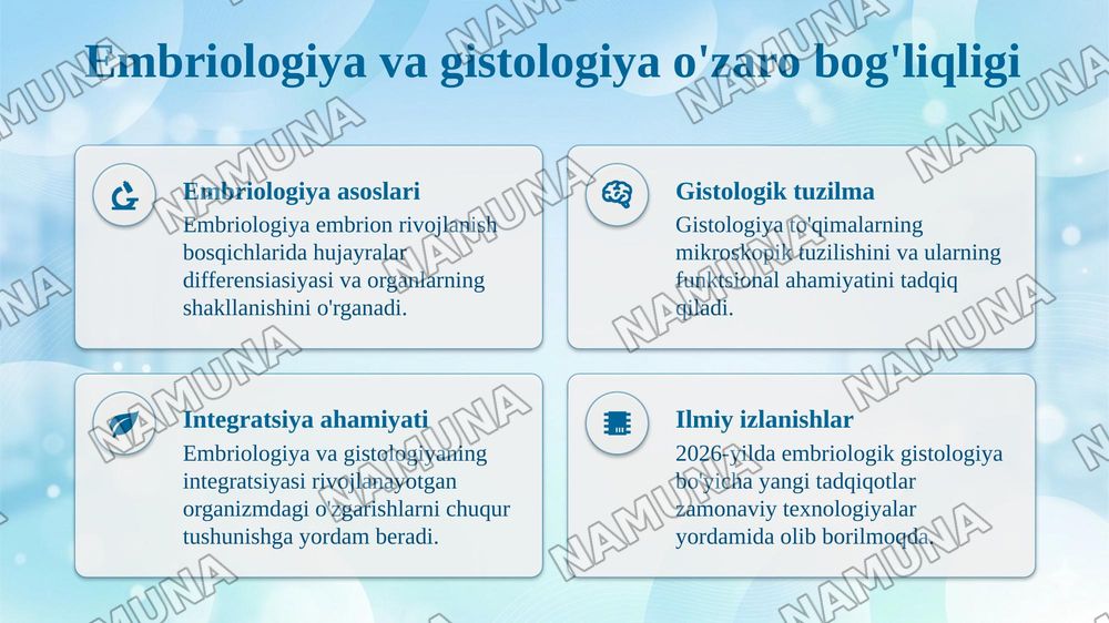 Odam embriologiyasining gistalogik tuzilishi — taqdimot, 4-slayd