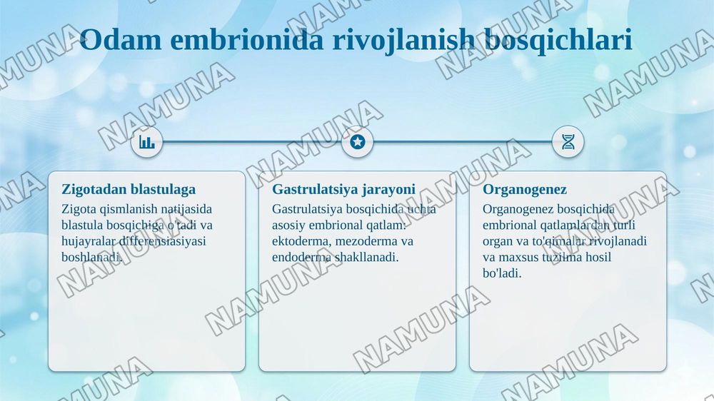 Odam embriologiyasining gistalogik tuzilishi — taqdimot, 5-slayd