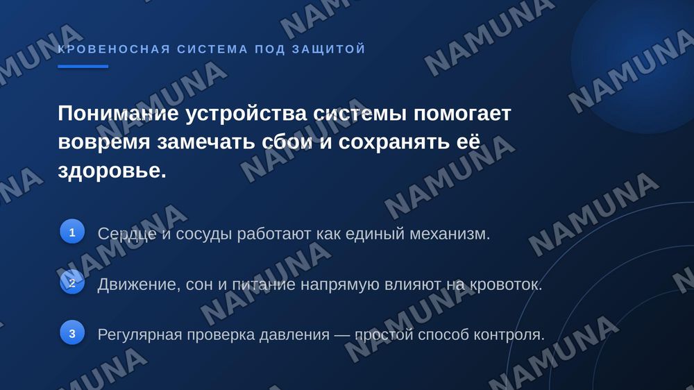 КРОВЕНОСНАЯ система — zamonaviy taqdimot, 7-slayd