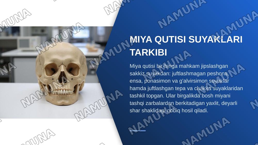 Kalla suyagini miya bo’limianatomiyasi, fiziologiyasi — zamonaviy taqdimot, 4-slayd