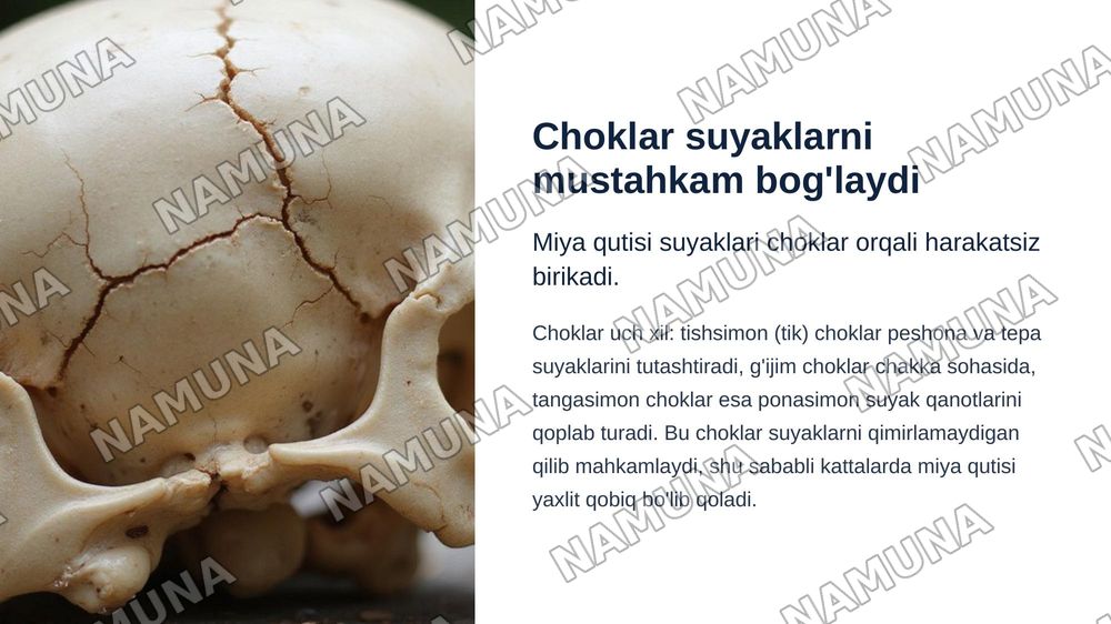 Kalla suyagini miya bo’limianatomiyasi, fiziologiyasi — zamonaviy taqdimot, 5-slayd