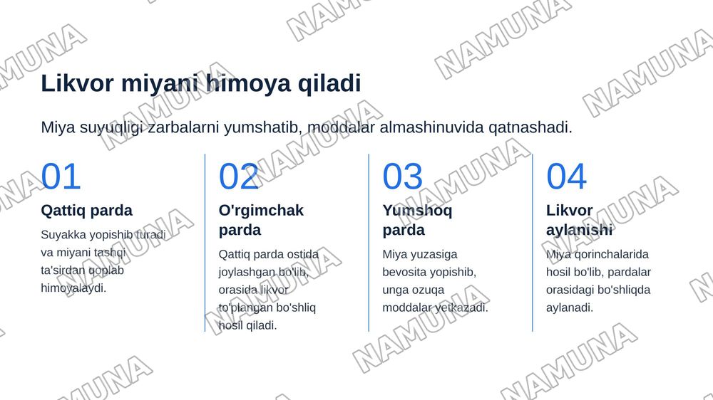 Kalla suyagini miya bo’limianatomiyasi, fiziologiyasi — zamonaviy taqdimot, 8-slayd