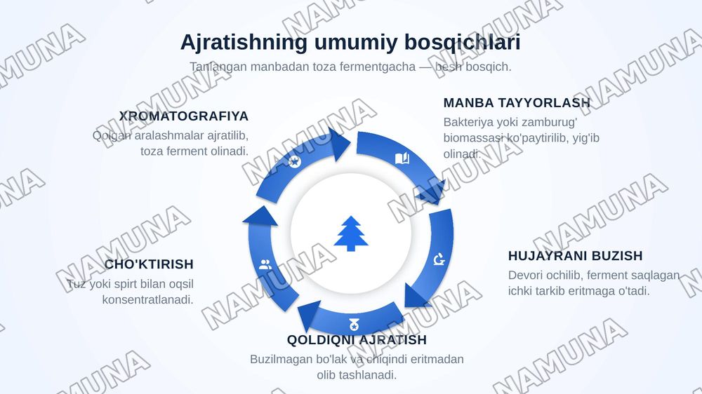 Fermentni ajratib olish — zamonaviy taqdimot, 7-slayd