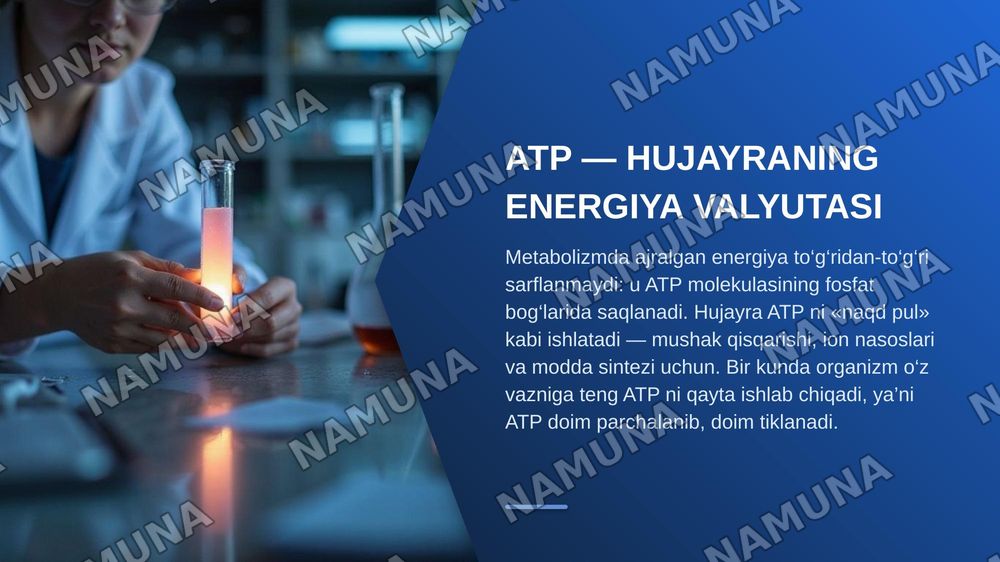 Metabolizm jarayonida energiya hosil bo’lishi va sarflanishi. Elektrokimyoviy davolash va diagnostika usullari — zamonaviy taqdimot, 3-slayd