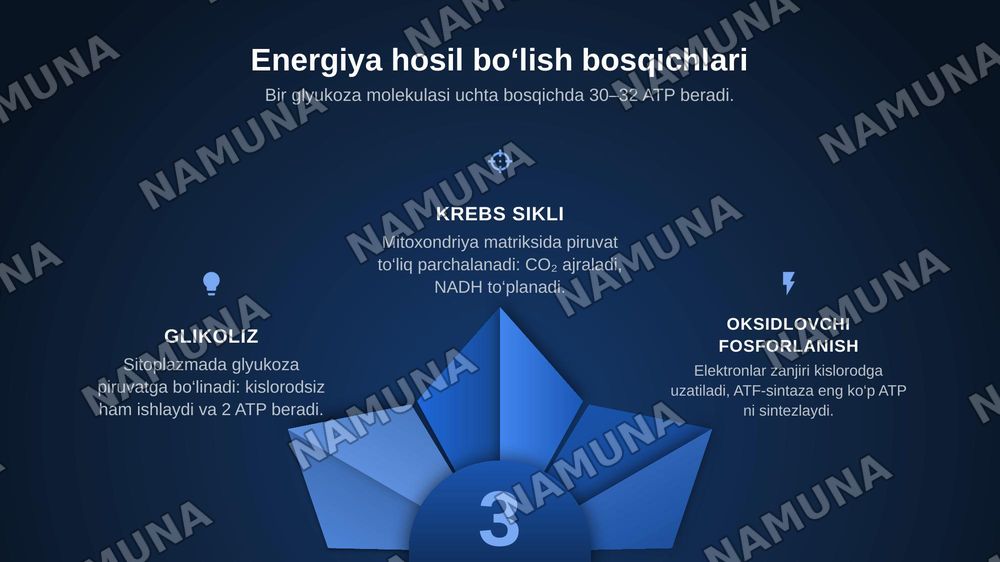 Metabolizm jarayonida energiya hosil bo’lishi va sarflanishi. Elektrokimyoviy davolash va diagnostika usullari — zamonaviy taqdimot, 4-slayd