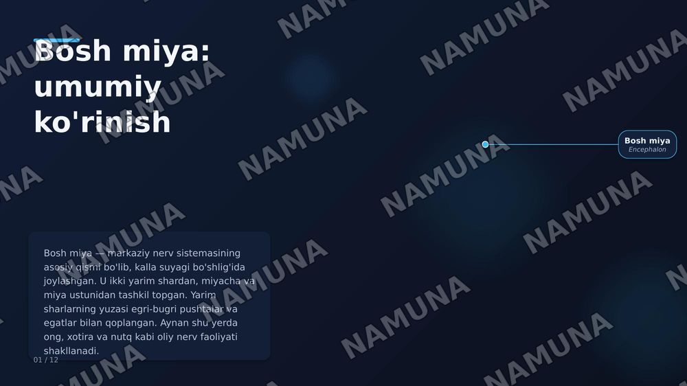 Oxirgi miya, miya po‘stlog‘I bazal o‘zaklar,qadoq tana ,yon qorincha — zamonaviy taqdimot, 1-slayd