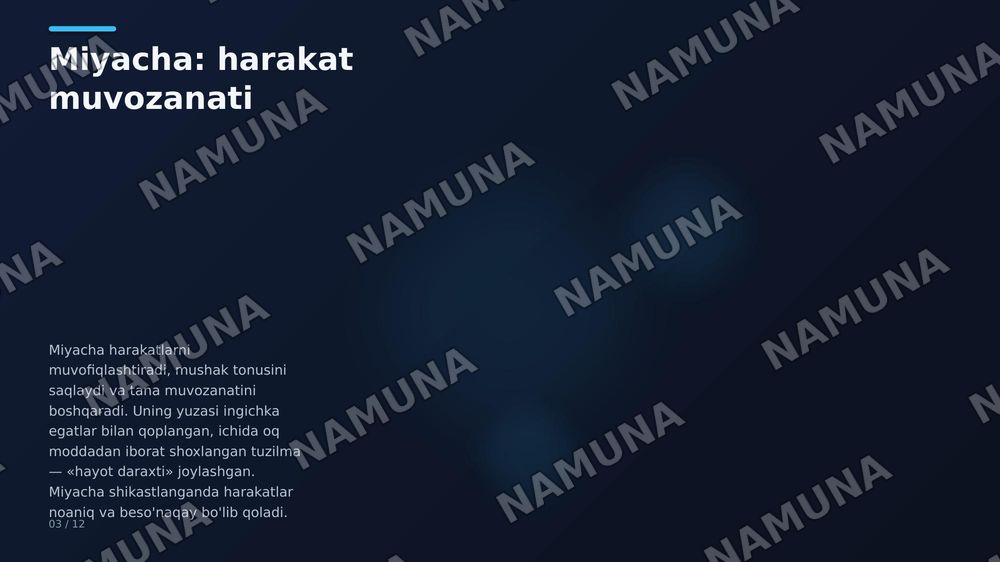Oxirgi miya, miya po‘stlog‘I bazal o‘zaklar,qadoq tana ,yon qorincha — zamonaviy taqdimot, 3-slayd