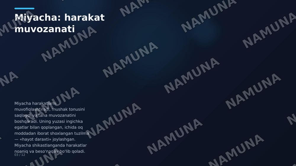 Oxirgi miya, miya po‘stlog‘I bazal o‘zaklar,qadoq tana ,yon qorincha — zamonaviy taqdimot, 4-slayd