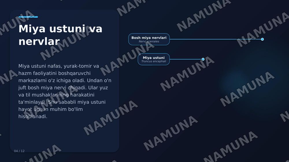 Oxirgi miya, miya po‘stlog‘I bazal o‘zaklar,qadoq tana ,yon qorincha — zamonaviy taqdimot, 6-slayd