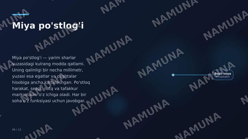 Oxirgi miya, miya po‘stlog‘I bazal o‘zaklar,qadoq tana ,yon qorincha — zamonaviy taqdimot, 8-slayd