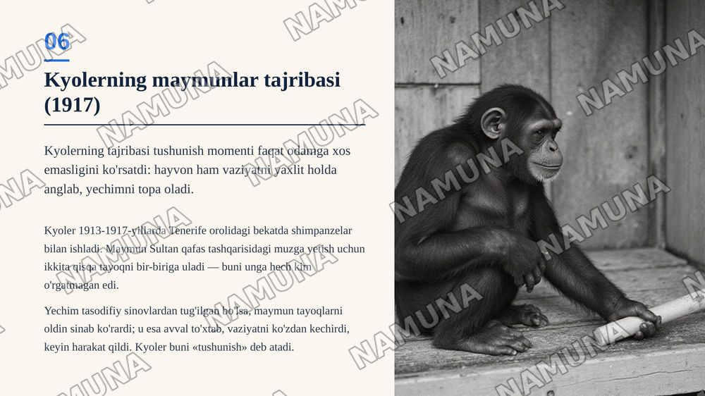 Geshtalt psixologiyasi haqida — zamonaviy taqdimot, 7-slayd
