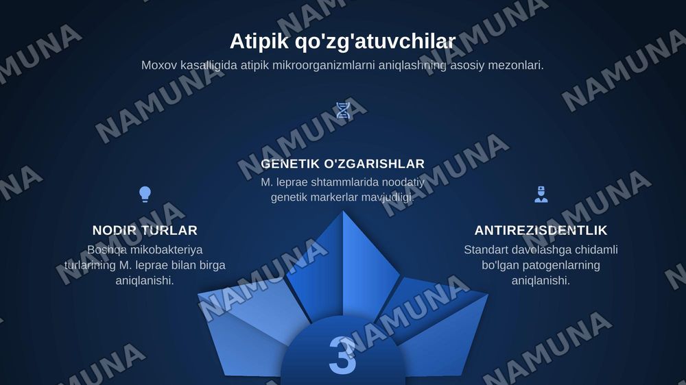 Atipik qo'zgatuvchilar Moxov kasalligi — zamonaviy taqdimot, 4-slayd