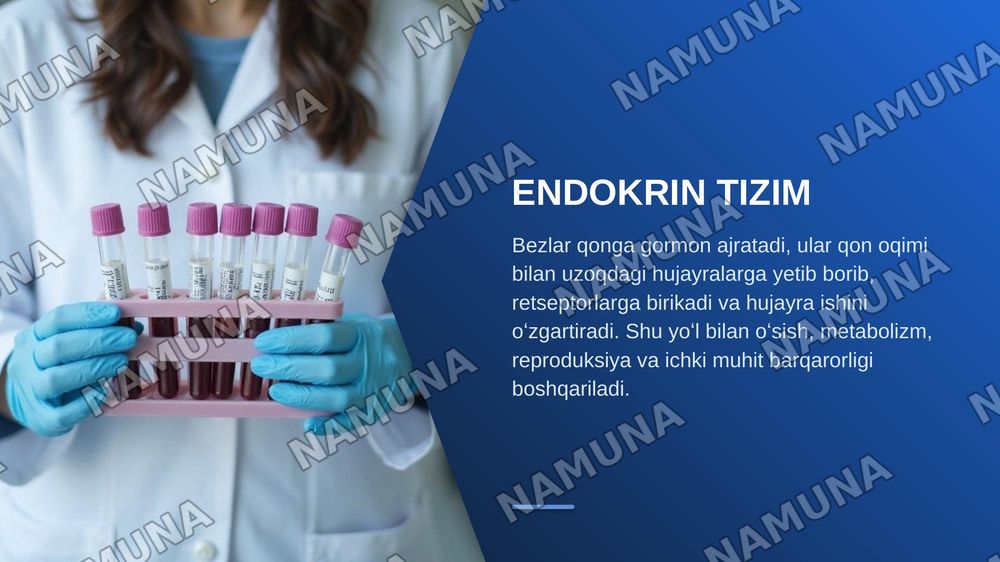 Organizmda endokrin tizim faoliyatini oʻrganish — zamonaviy taqdimot, 3-slayd