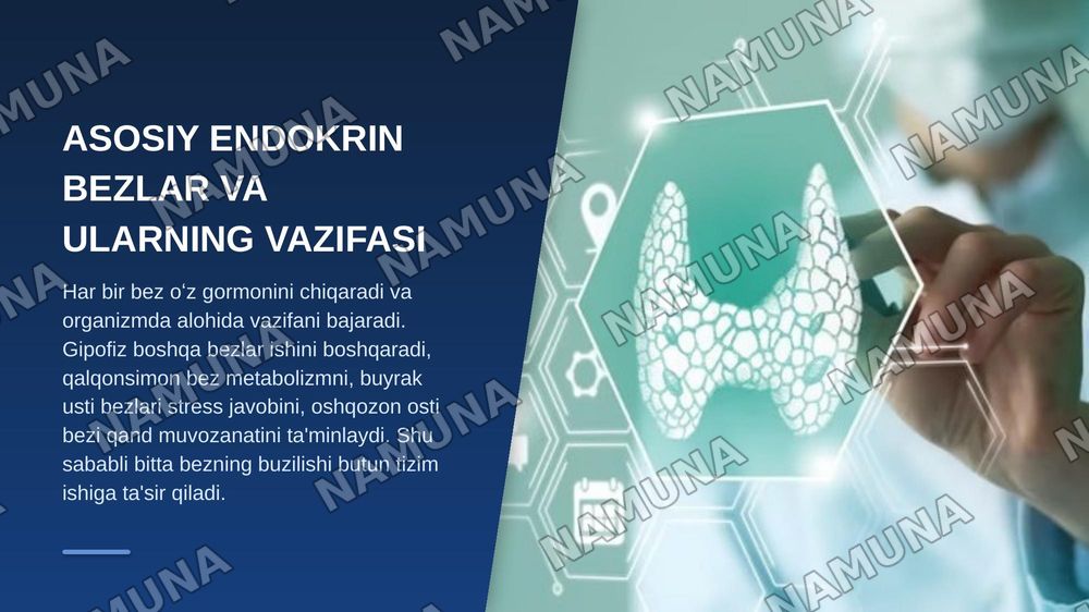 Organizmda endokrin tizim faoliyatini oʻrganish — zamonaviy taqdimot, 4-slayd