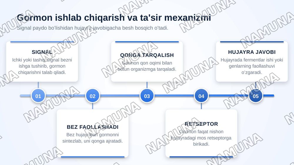Organizmda endokrin tizim faoliyatini oʻrganish — zamonaviy taqdimot, 5-slayd