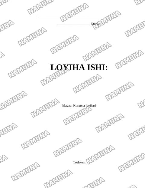 Korxona loyihasi — loyiha ishi