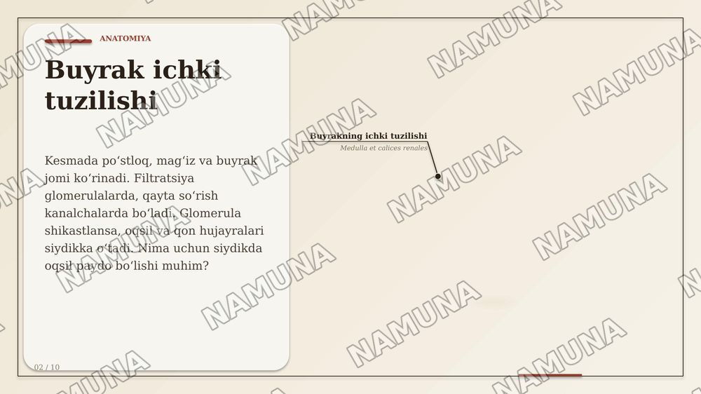 Сурункали гломерулонефрит — zamonaviy taqdimot, 2-slayd