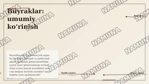 Сурункали гломерулонефрит — zamonaviy taqdimot