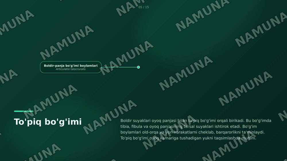 Oyoq kamari va oyoqning erkin suyaklari aniqlang va joylashuvini korsating — zamonaviy taqdimot, 5-slayd