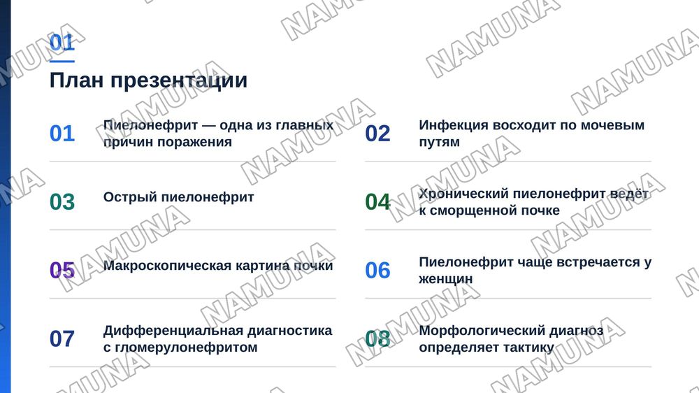 Пиелонефрит. По предмету патологическая анатомия — zamonaviy taqdimot, 2-slayd