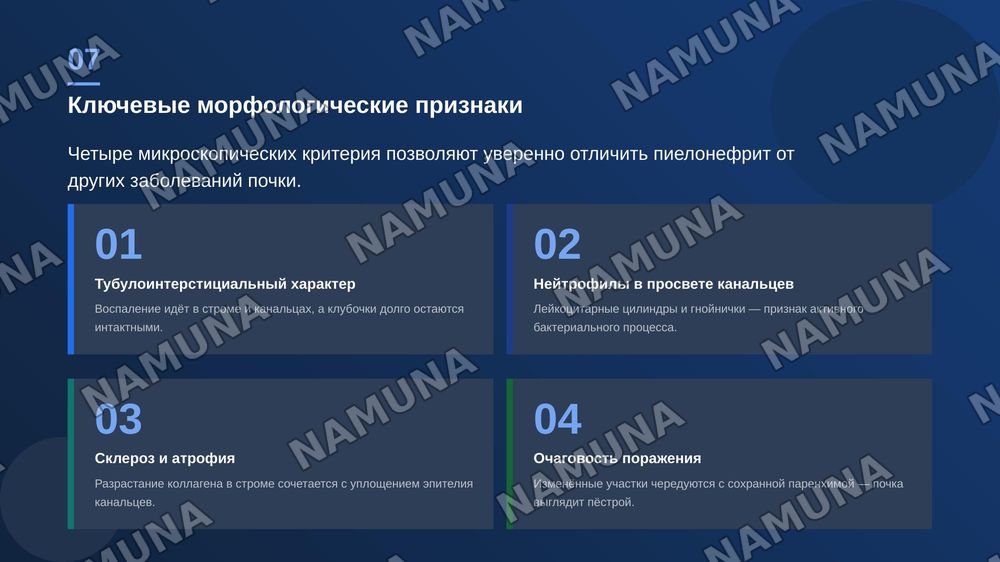 Пиелонефрит. По предмету патологическая анатомия — zamonaviy taqdimot, 8-slayd