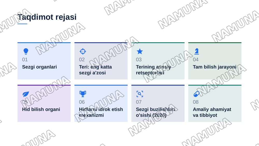 Teri tam bilish va hid bilish azolarining funksional anatomiyasi — zamonaviy taqdimot, 2-slayd