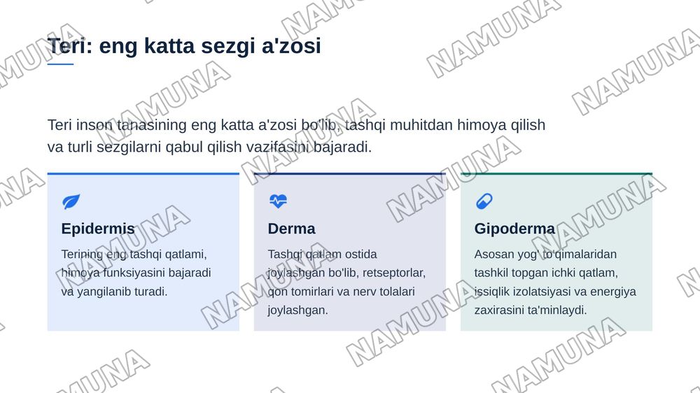 Teri tam bilish va hid bilish azolarining funksional anatomiyasi — zamonaviy taqdimot, 4-slayd