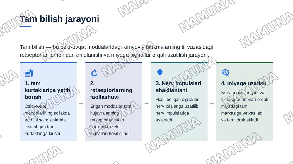 Teri tam bilish va hid bilish azolarining funksional anatomiyasi — zamonaviy taqdimot, 6-slayd