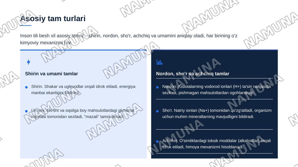 Teri tam bilish va hid bilish azolarining funksional anatomiyasi — zamonaviy taqdimot, 7-slayd