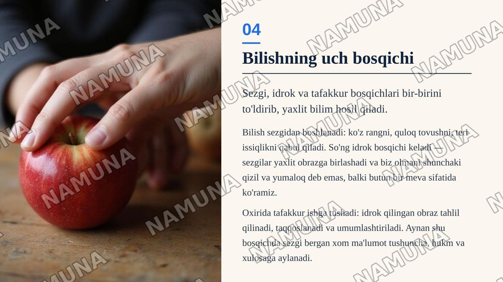 Bilish falsafasi gnosologiya — zamonaviy taqdimot, 5-slayd
