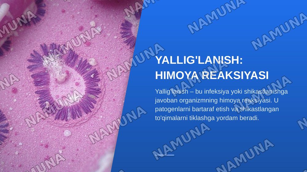 Yallig'lanishda leykotsitlarning emigratsiyasi. Leykotsitlar emigratsiyasining sabablari va bosqichlari. Leykotsitlarning qon tomirdan chiqishida ketma-ketligi. Yallig'lanish o’chogida fizik-rimyoviy o’zgarishlari, mehanizmlari. Yallig'lanishni mahalliy klinik belgilari. — zamonaviy taqdimot, 3-slayd
