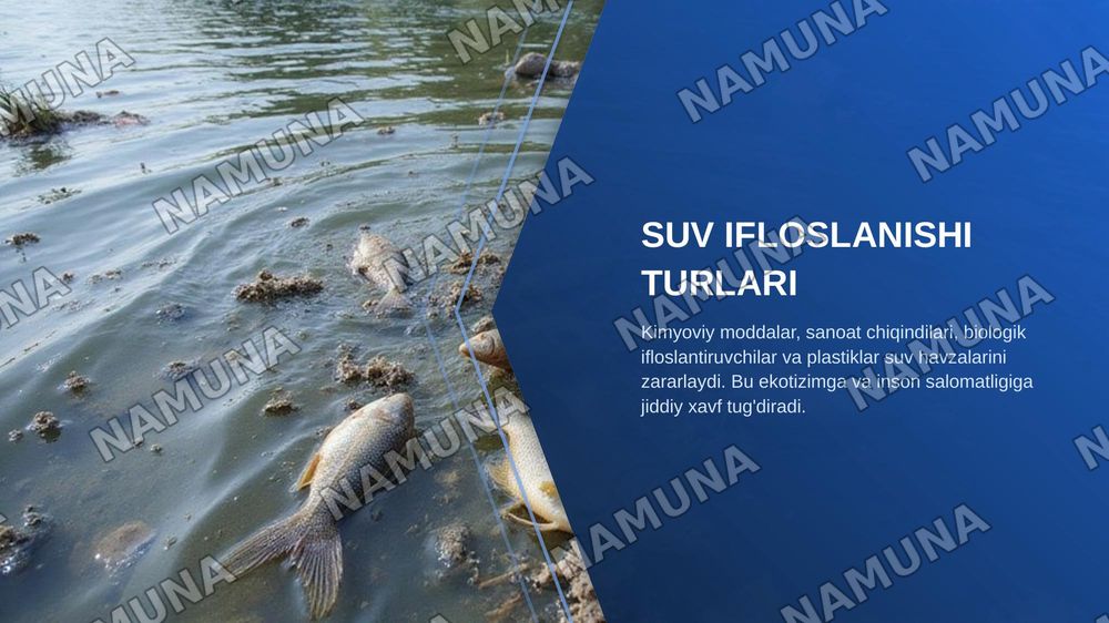 Atrof muhit ifloslanishini nazorat qilish usullari( havo, suv, tuproq) — zamonaviy taqdimot, 7-slayd