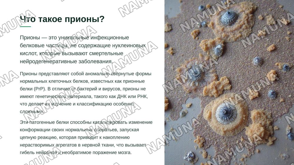 ” приoны, их значение в медицинской практике” — zamonaviy taqdimot, 3-slayd