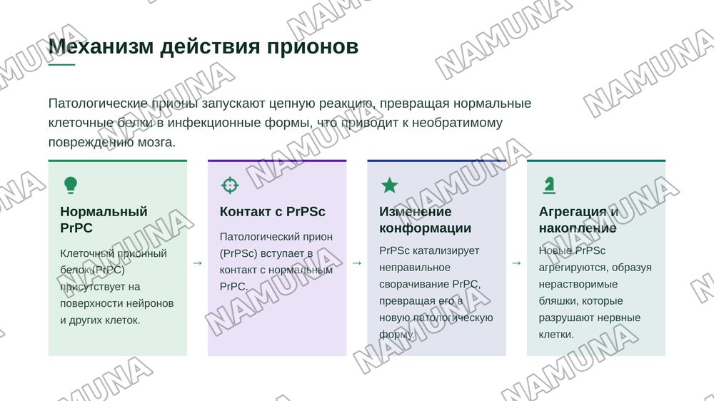 ” приoны, их значение в медицинской практике” — zamonaviy taqdimot, 5-slayd