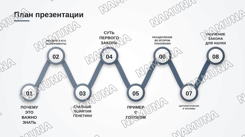 Первый закон менделя — zamonaviy taqdimot, 2-slayd