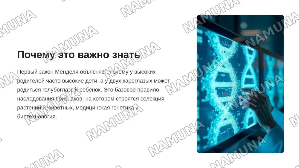 Первый закон менделя — zamonaviy taqdimot, 3-slayd