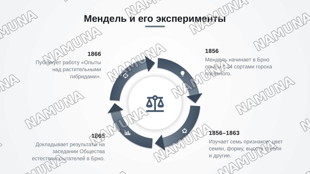 Первый закон менделя — zamonaviy taqdimot, 4-slayd
